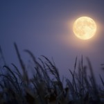 Every Day Sacred - full harvest moon and corn stalks